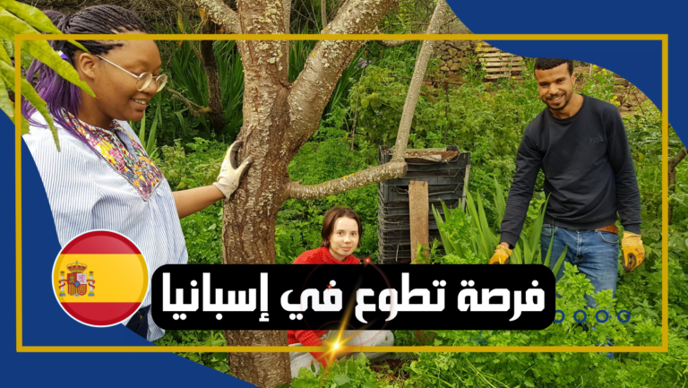 فرصة تطوع في إسبانيا
