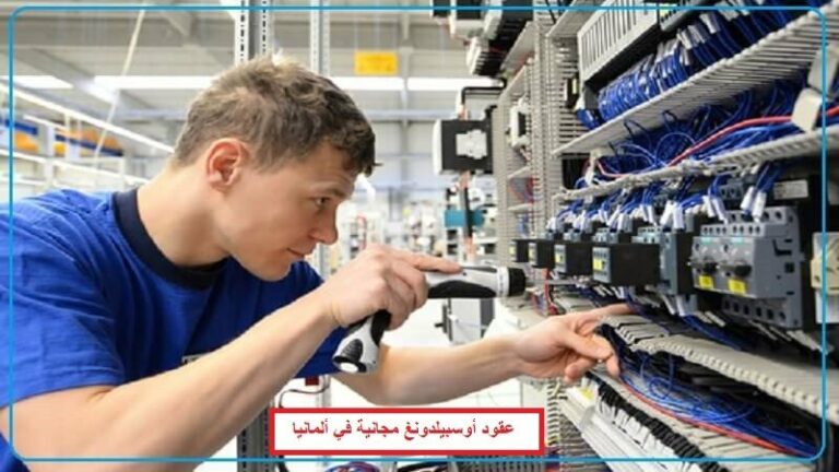 عقود أوسبيلدونغ مجانية في ألمانيا