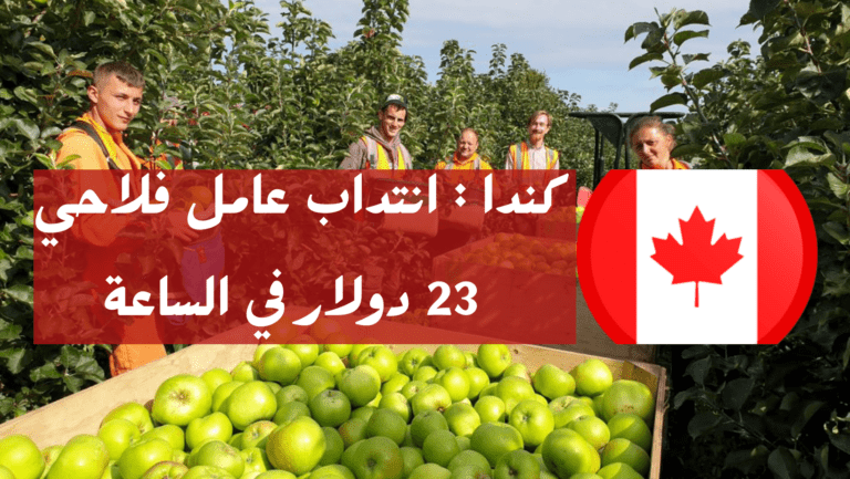 انتداب عمال مزارع في كندا: فرص عمل مميزة في القطاع الزراعي